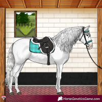 Horse Color:Silver Grullo Snowcap