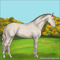 Horse Color:Smoky Creme 
