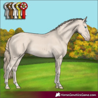 Horse Color:Smoky Creme 