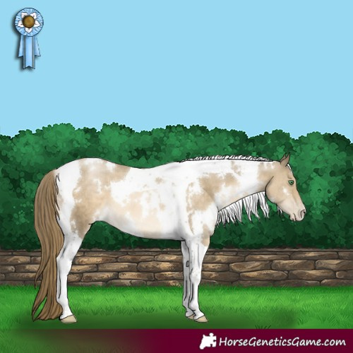 Horse Color:White Spotted Smoky Black Pearl Tobiano 