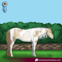 Horse Color:White Spotted Smoky Black Pearl Tobiano 