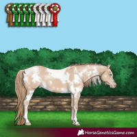 Horse Color:White Spotted Smoky Creme 