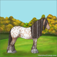 Horse Color:Amber Champagne Appaloosa and Amber Champagne Appaloosa