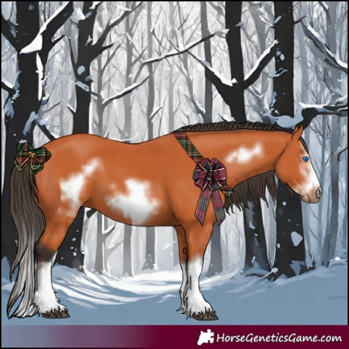 Horse Color:Bay Splash Frame and Bay Splash Frame