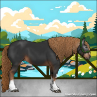 Horse Color:Gray White Spotted Liver Chestnut 
