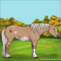 Horse Color:Unknown 