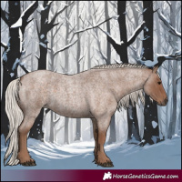 Horse Color:Silver Blue Roan 