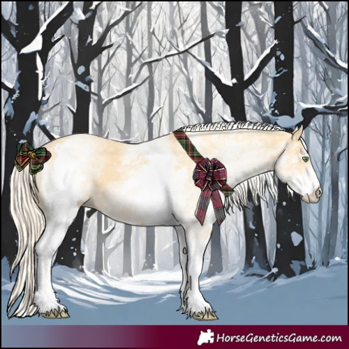 Horse Color:White Spotted Gold Cream Champagne 
