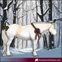 Horse Color:White Spotted Gold Cream Champagne 