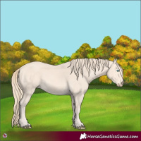 Horse Color:Perlino 