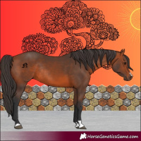 Horse Color:Bay Rabicano 