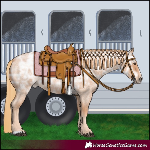 Horse Color:Red Ice Roan Rabicano 
