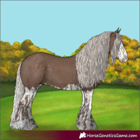 Horse Color:Silver Black  and Silver Black Splash 