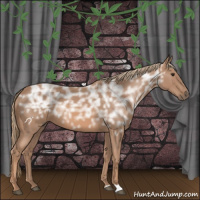 Horse Color:Red Ice Roan Rabicano 