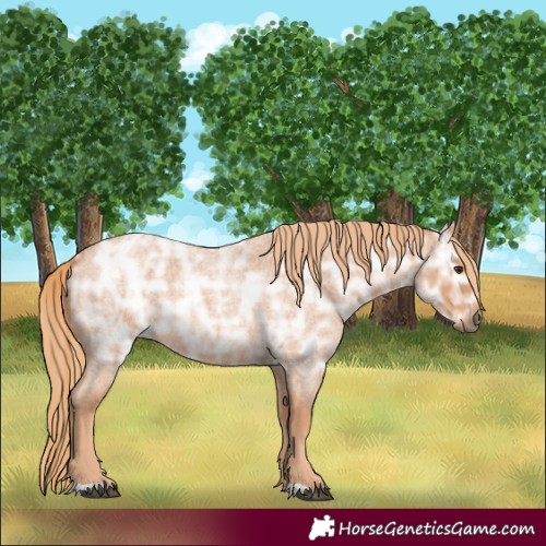 Horse Color:Red Ice Roan Rabicano 