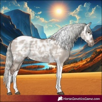 Horse Color:Liver Red Dun Ice Mushroom Tobiano Rabicano 