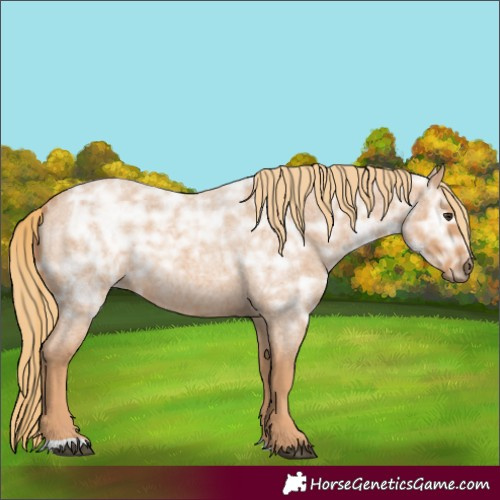 Horse Color:Red Ice Roan Rabicano
