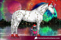 Horse Color:Gray Red Ice Roan Rabicano 