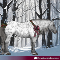Horse Color:Blue Roan Near Leopard 
