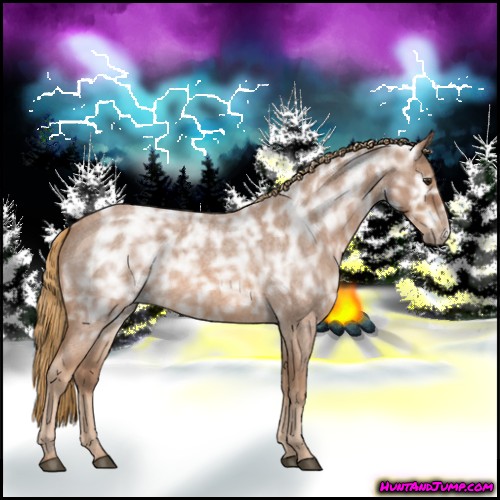 Horse Color:Red Ice Roan Rabicano 