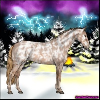 Horse Color:Red Ice Roan Rabicano 