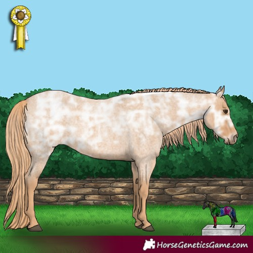 Horse Color:Red Ice Roan Rabicano 