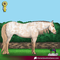 Horse Color:Red Ice Roan Rabicano 