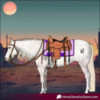 Horse Color:Palomino Ice Roan Rabicano