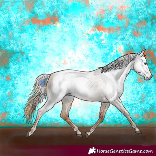 Horse Color:Gray Red Ice Roan Rabicano 