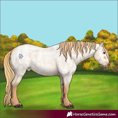 Horse Color:Red Dun Ice Roan Rabicano