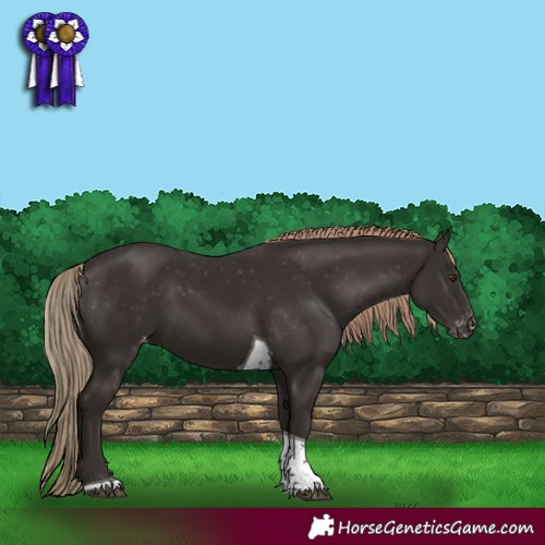 Horse Color:Liver Chestnut Tobiano Varnish 