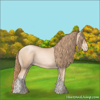 Horse Color:Gold Champagne Pearl Rabicano and Gold Champagne Pearl Rabicano