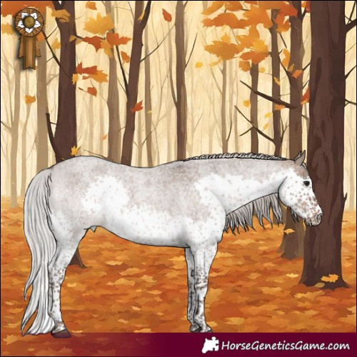 Horse Color:Silver Brown Roan Dun Splash Tobiano
