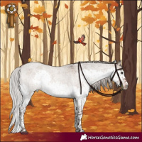 Horse Color:Silver Brown Roan Dun Splash Tobiano 