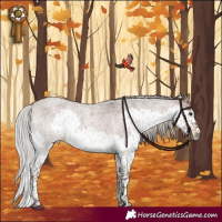 Horse Color:Silver Brown Roan Dun Splash Tobiano 