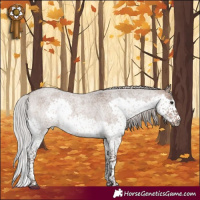 Horse Color:Silver Brown Roan Dun Splash Tobiano