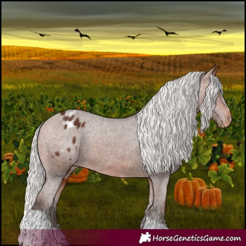 Horse Color:Silver Bay Tobiano Appaloosa 