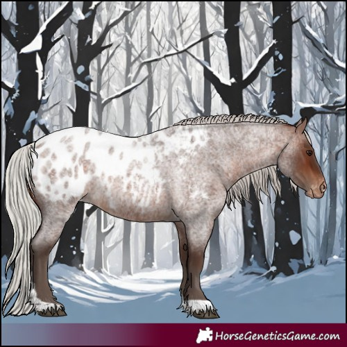 Horse Color:Silver Brown Roan Tobiano Appaloosa 