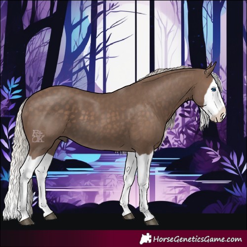 Horse Color:Silver Black Splash 