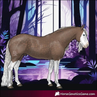Horse Color:Silver Black Splash 
