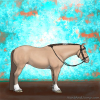 Horse Color:Amber Champagne Tobiano 