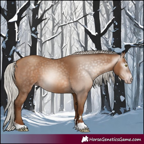 Horse Color:Gray Silver Sable Champagne 