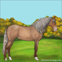 Horse Color:Gray Silver Sable Champagne Roan 
