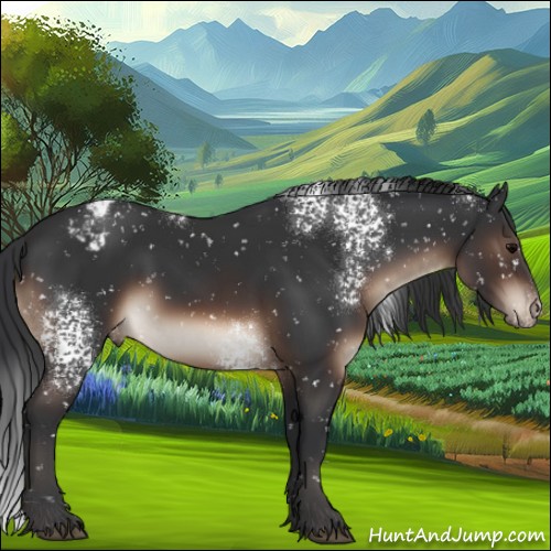 Horse Color:White Spotted Brown Appaloosa 
