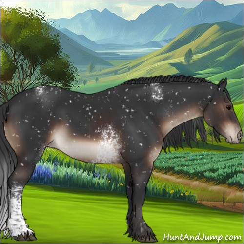 Horse Color:White Spotted Brown Appaloosa 