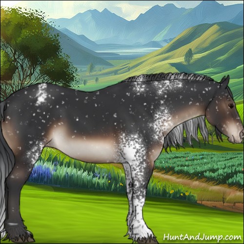 Horse Color:White Spotted Brown Appaloosa 
