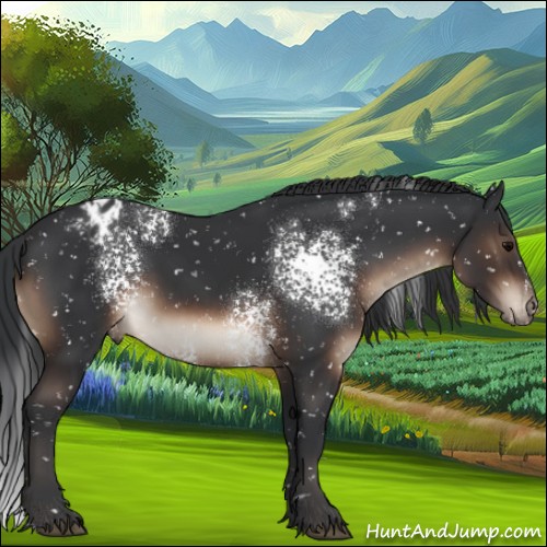 Horse Color:White Spotted Brown Snowflake Varnish 