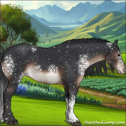 Horse Color:White Spotted Brown Appaloosa 