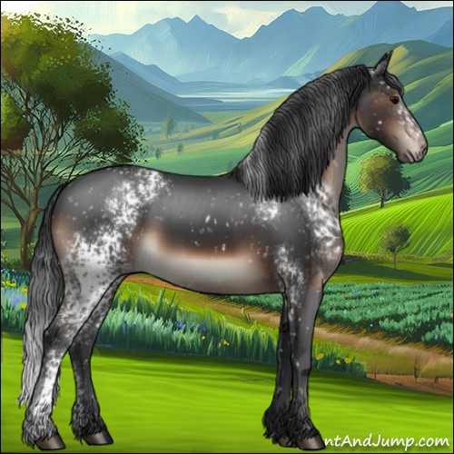 Horse Color:White Spotted Brown Snowflake Varnish