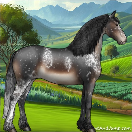 Horse Color:White Spotted Brown Appaloosa 